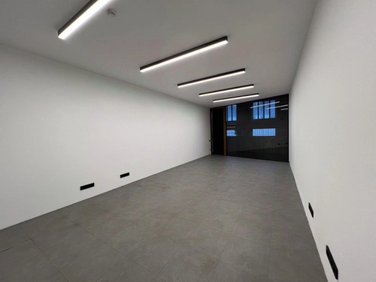 Свободного назначения, 38.8 м²