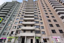 Московская прописка. Объект № 20205